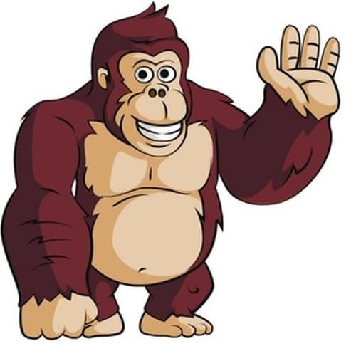 The Gorilla