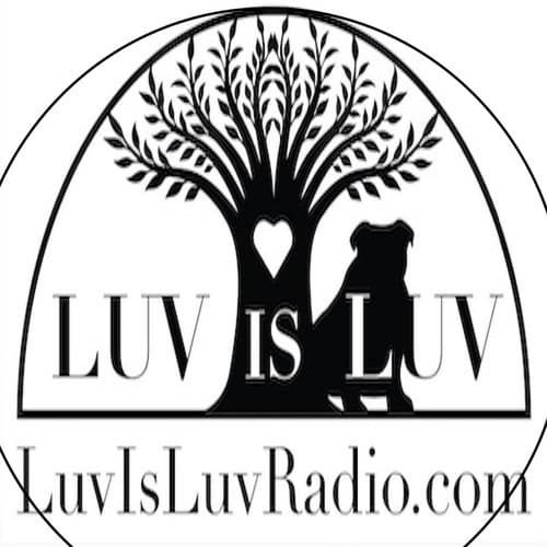 Luv Is Luv Radio