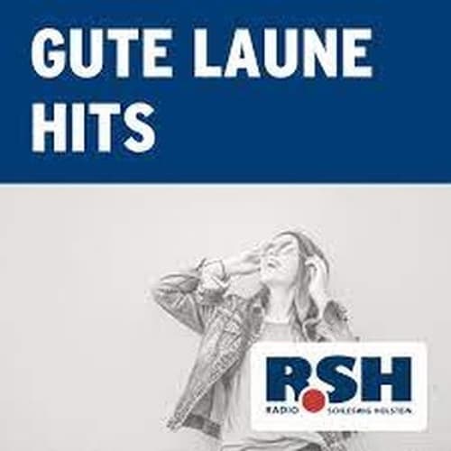 R.SH - Gute Laune Hits