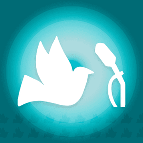 Rádio Marumby 88.5 FM