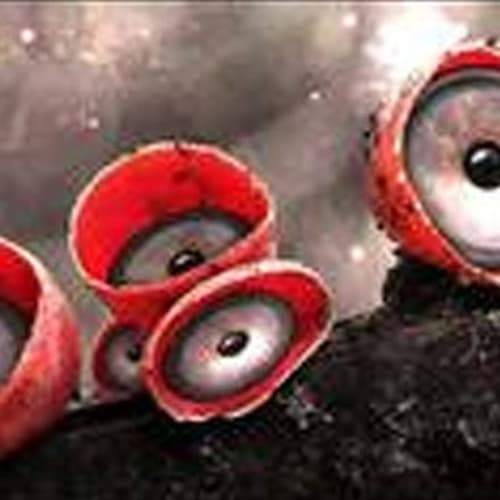 Radio Wattwerker - Metalhead