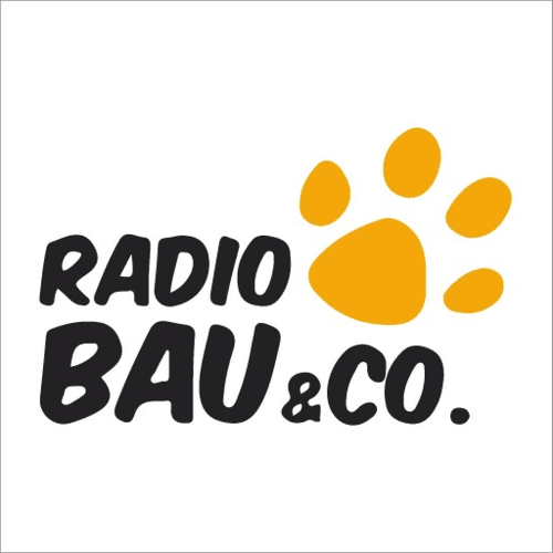 Bau & Co Radio