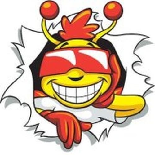 B-93 - CJBZ- 93.3 93.3 FM